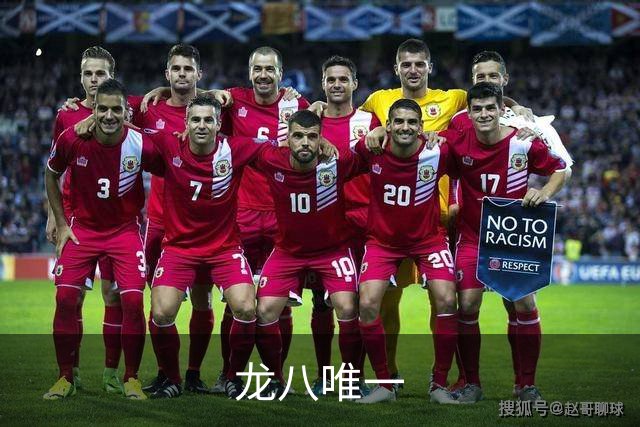 龙八唯一公司形象展示